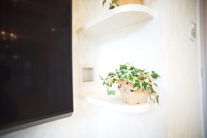 DSC00116-1